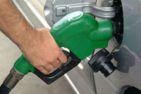 biofuels biofuels