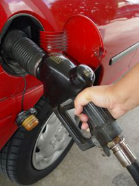 renewable fuel