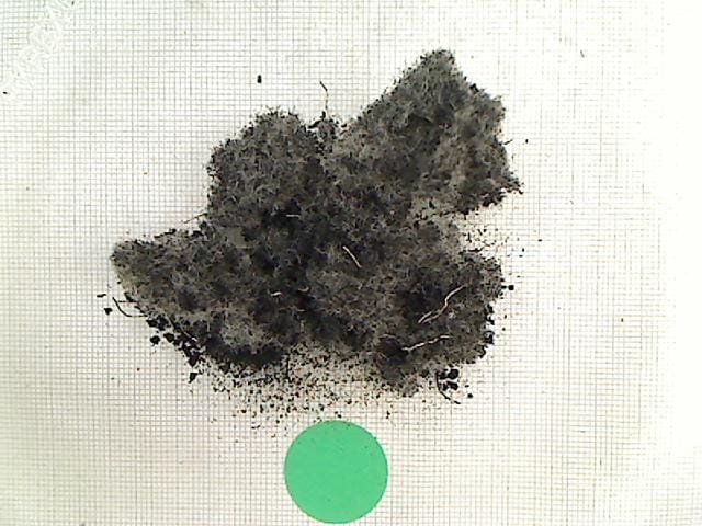 Dewired and shredded tire (Photo: 1mm x 1mm scale)